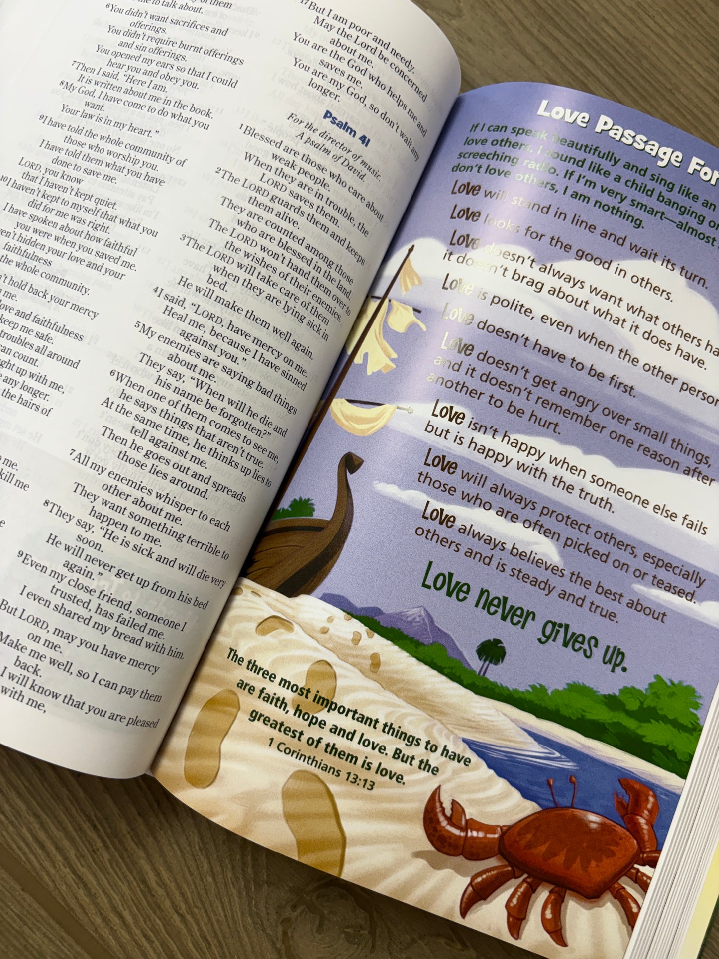 NIV ADVENTURE BIBLE FOR EARLY READERS