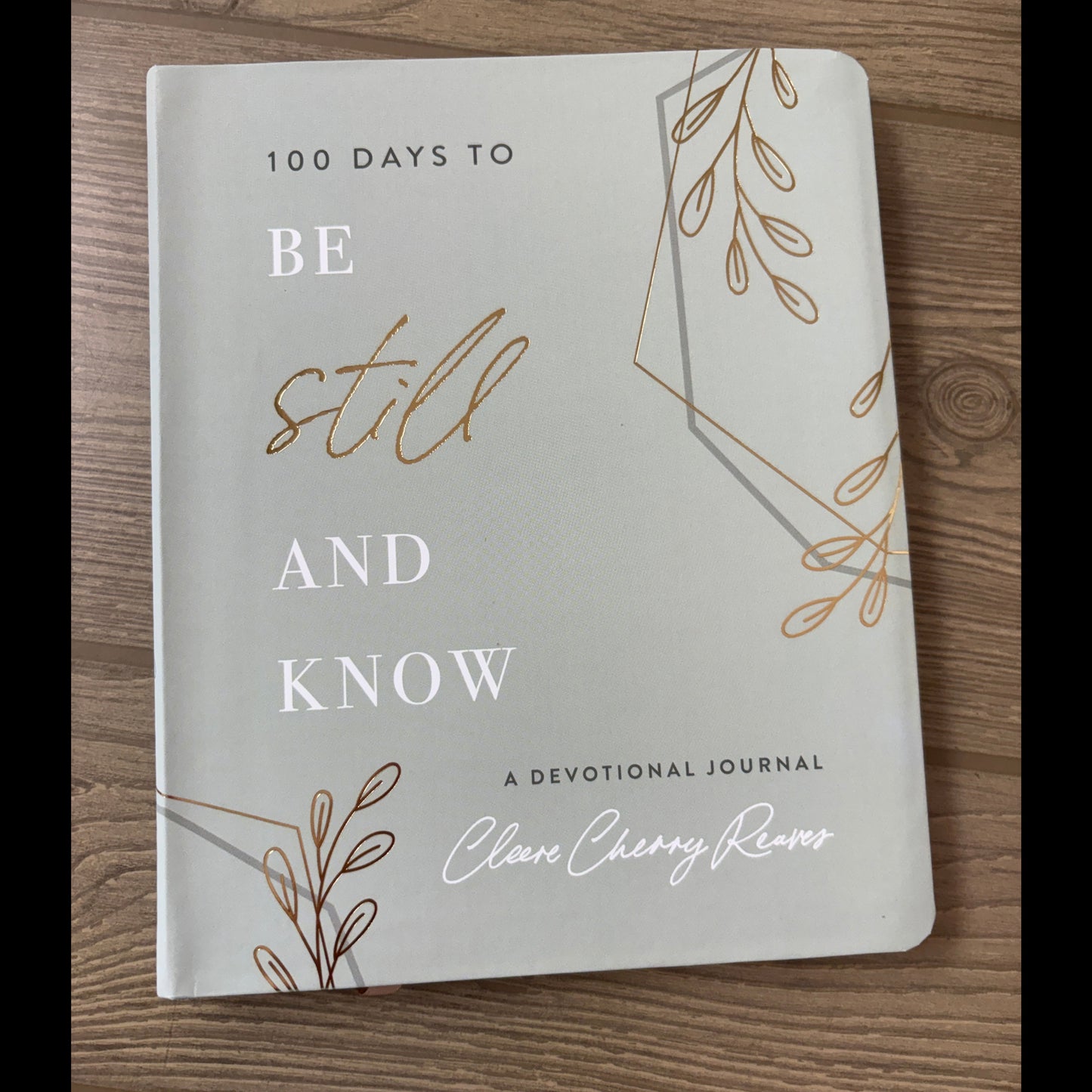 100 DAYS TO BE STILL AN KNOW