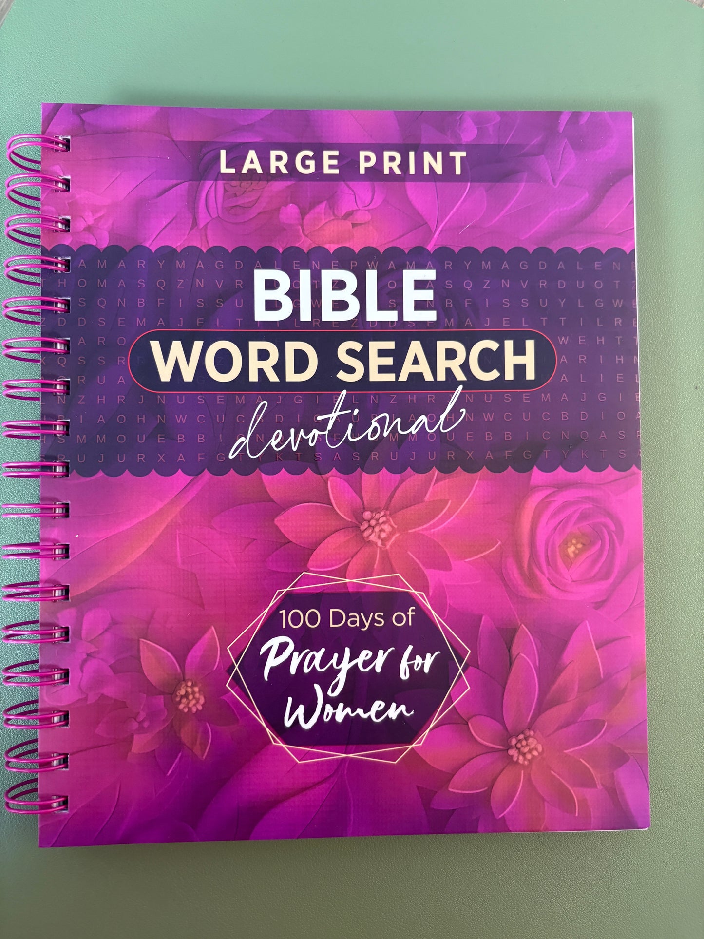LARGE PRINT BIBLE WORD SEARCH DEVOTIONAL