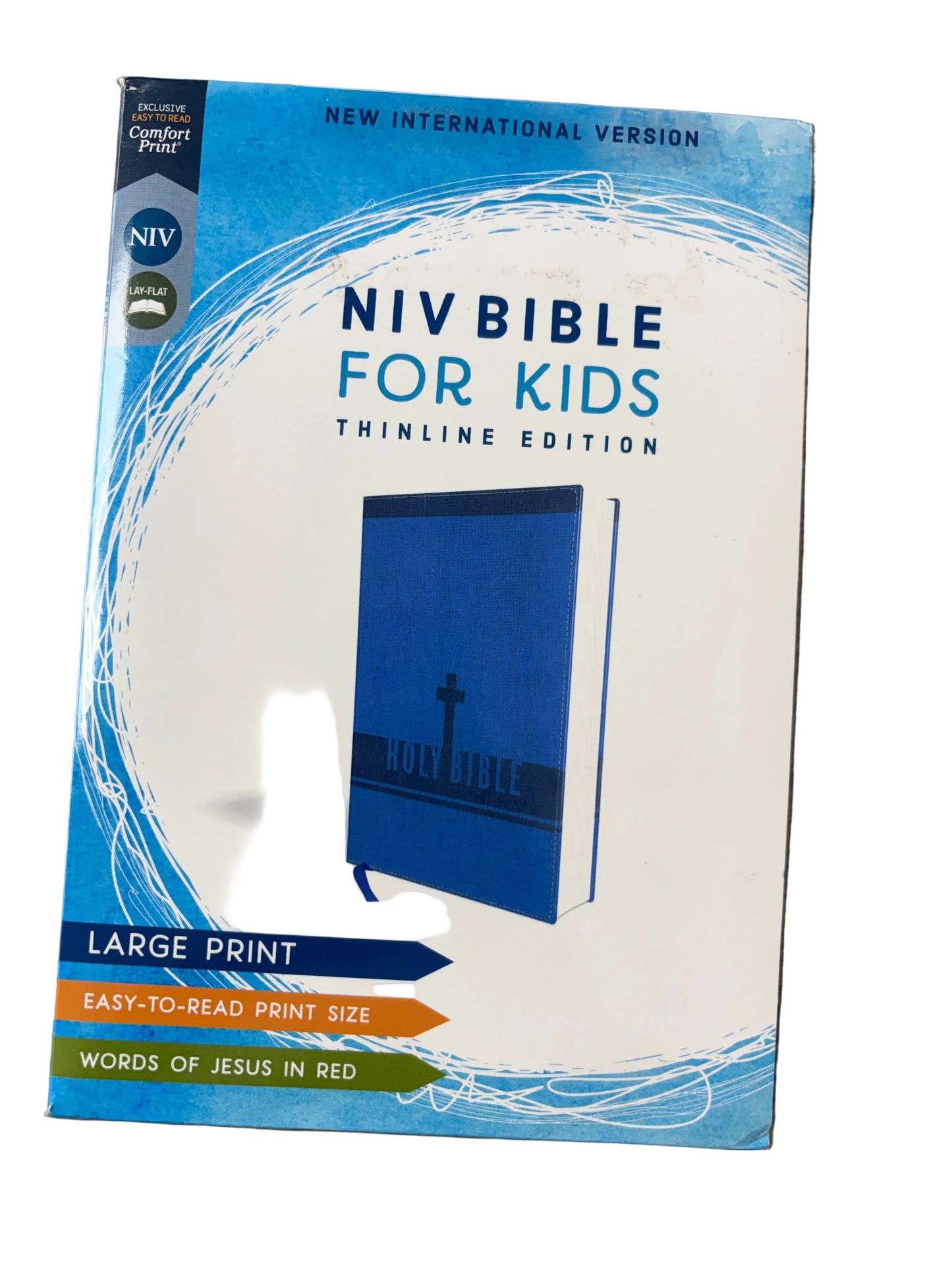BOYS LARGE PRINT THINLINE BIBLE NIV