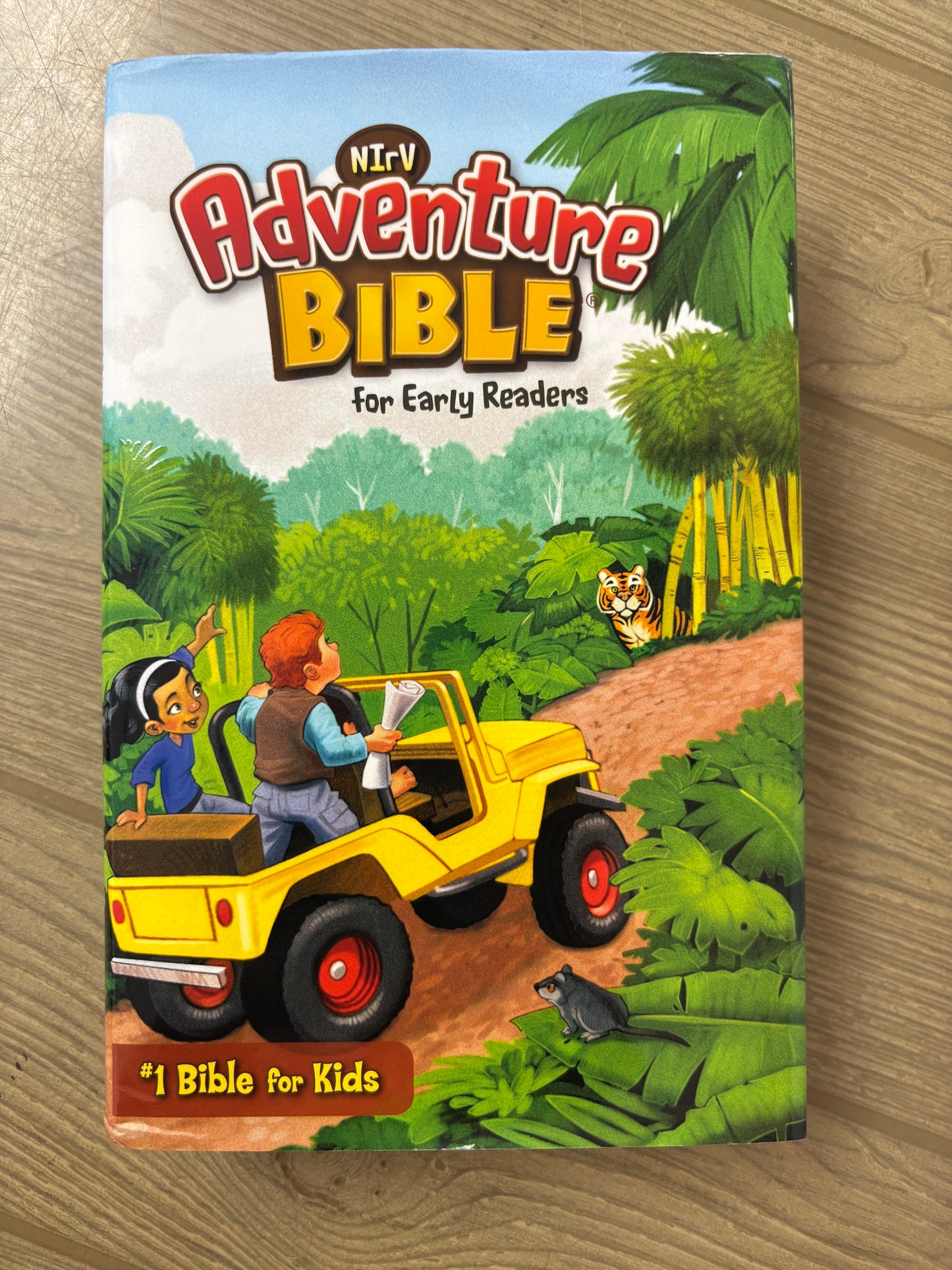NIV ADVENTURE BIBLE FOR EARLY READERS