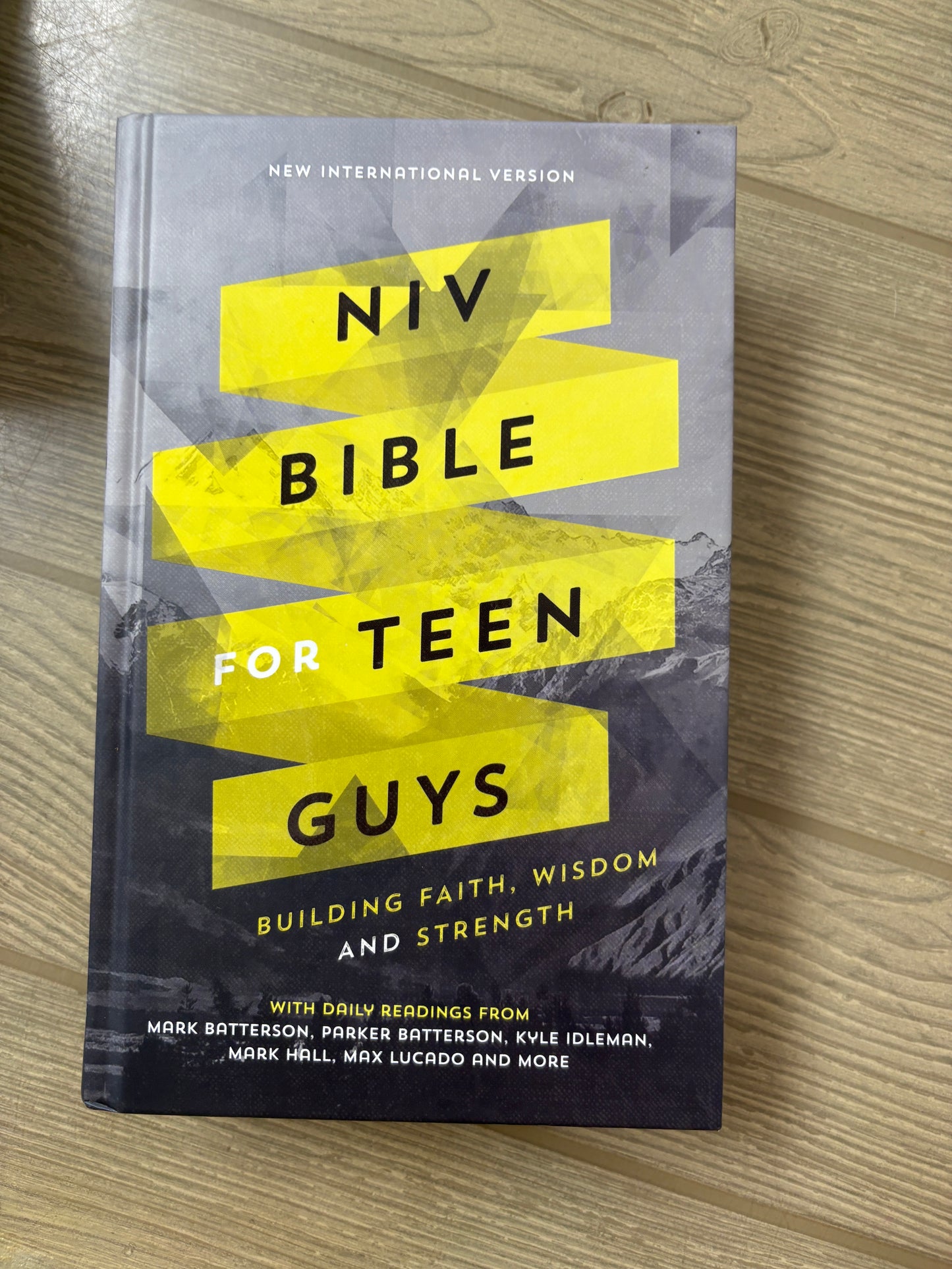 NIV BIBLE FOR TEEN GUYS