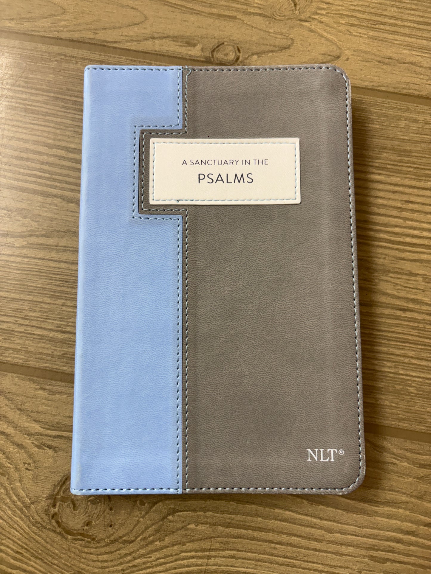 A SANCTUARY IN THE PSALMS