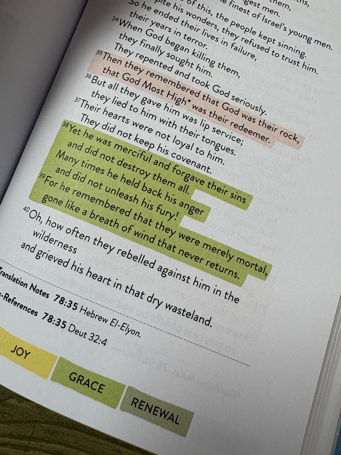 A SANCTUARY IN THE PSALMS