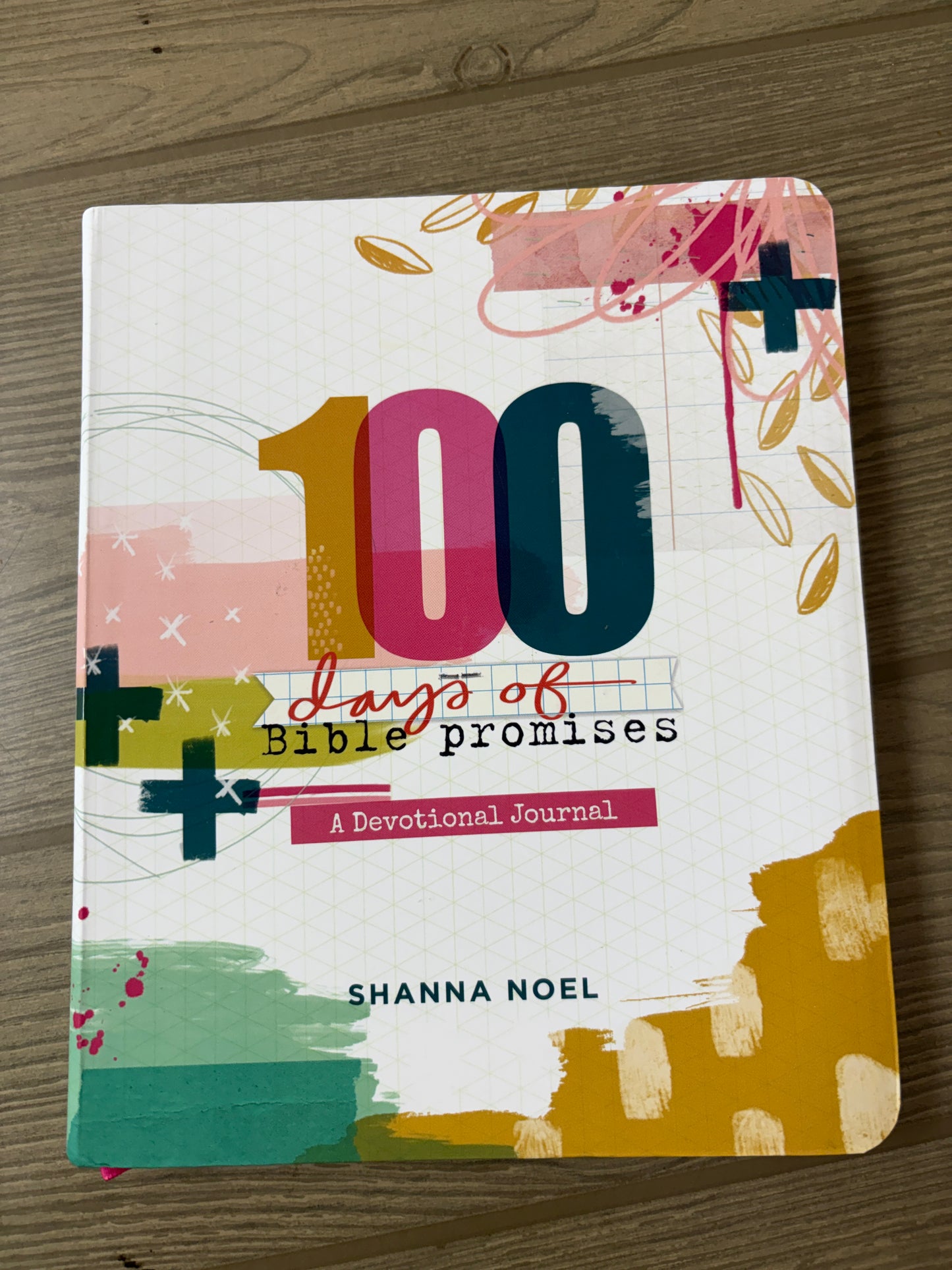 100 DAYS OF BIBLE PROMISES