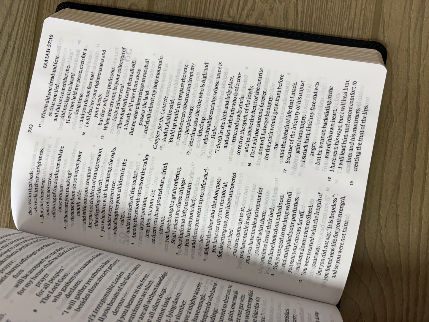 LARGE PRINT ENGLISH STANDARD VERSION