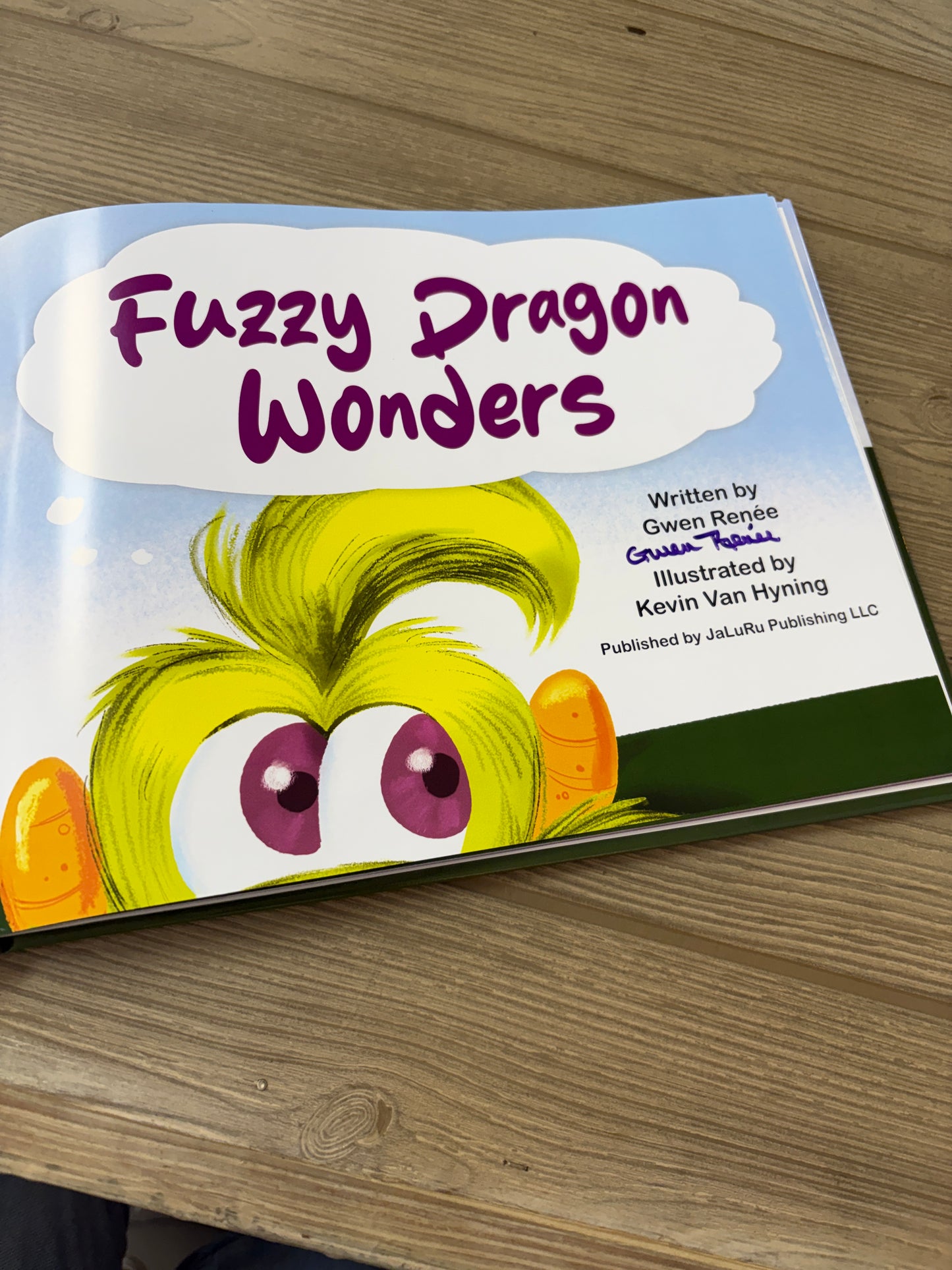 FUZZY DRAGON WONDERS