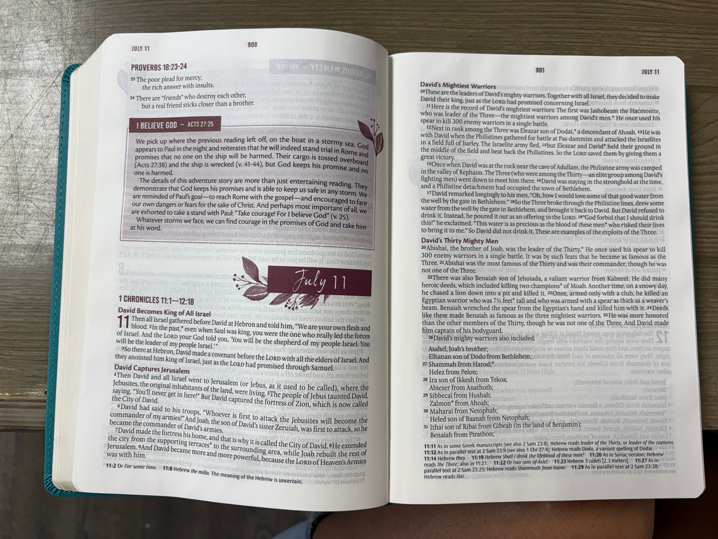 EVERYDAY DEVOTIONAL BIBLE  NEW LIVING TRANSLATION